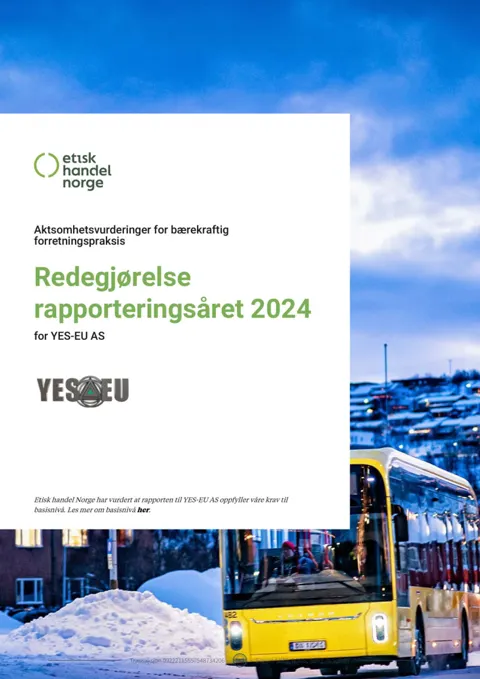 Preview of Due diligence assessments for sustainable business practices - Statement for the reporting year 2024 (Norwegian)